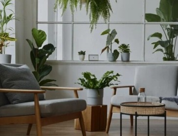 アートグリーンで癒しの空間をご自宅に